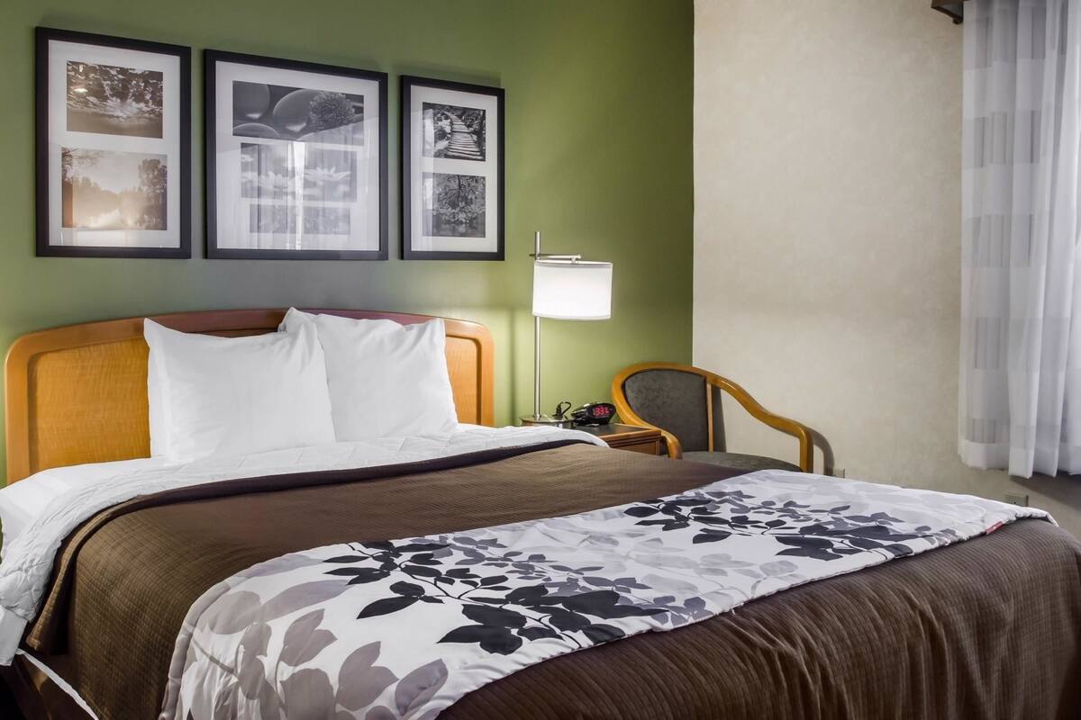 Desk, iron/ironing board, WiFi (free), bed sheets