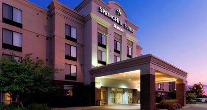 Springhill Suites By Marriott Indianapolis Carmel