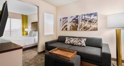 Springhill Suites By Marriott Indianapolis Carmel
