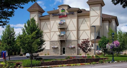 SpringHill Suites by Marriott Frankenmuth