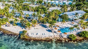 An aerial view of a resort with a beach, palm trees, and a swimming pool.