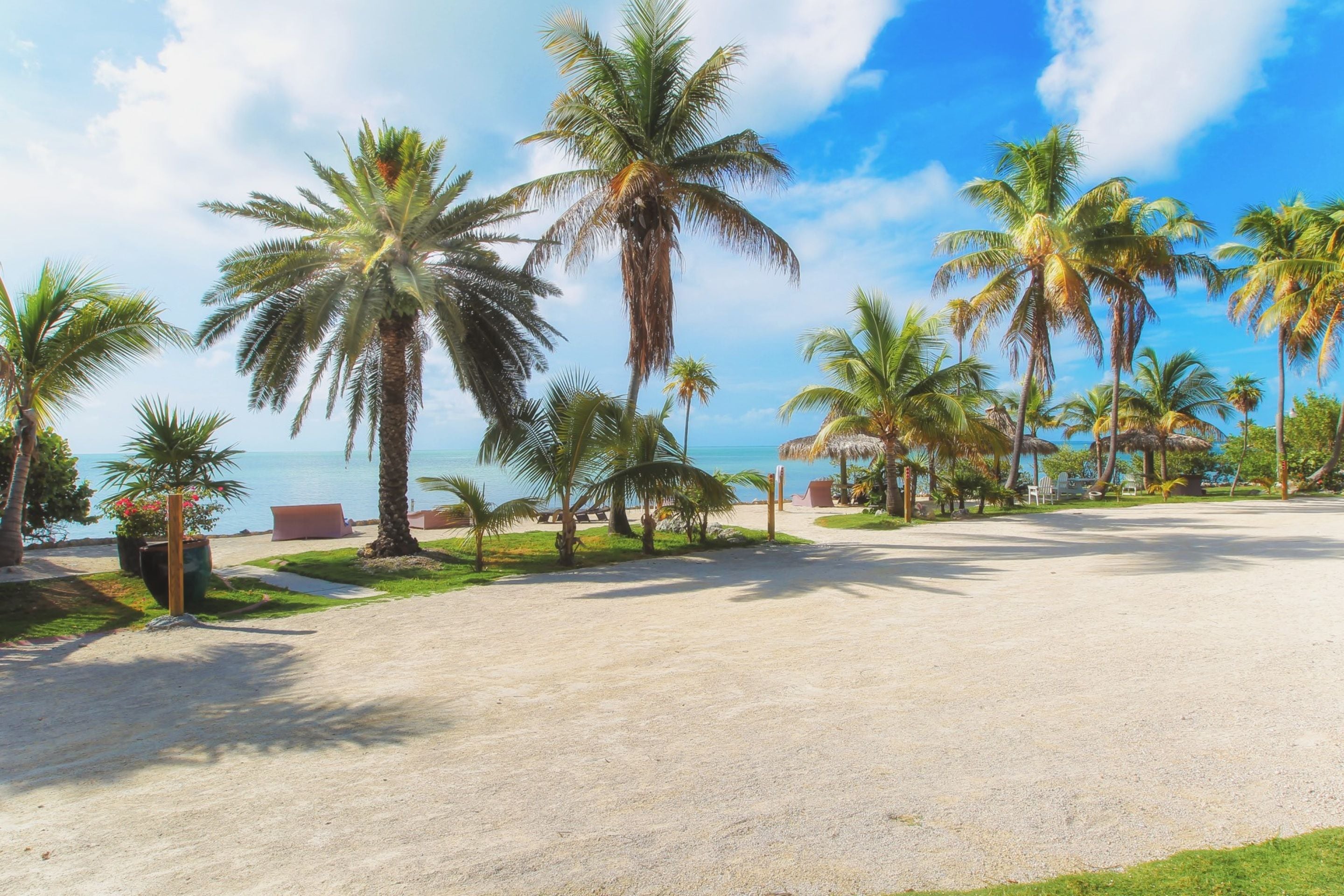 A beachside resort with palm trees, a sandy path, and a view of the ocean.
