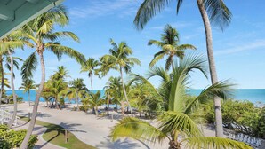 A beach with palm trees and a clear view of the ocean. - Lime Tree Bay Resort (Long Key)