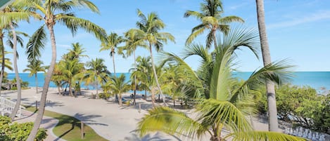 Une plage bordée de palmiers, offrant une vue dégagée sur l’océan.