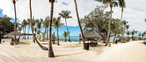 Une plage bordée de palmiers, avec un hamac et des chaises de plage.