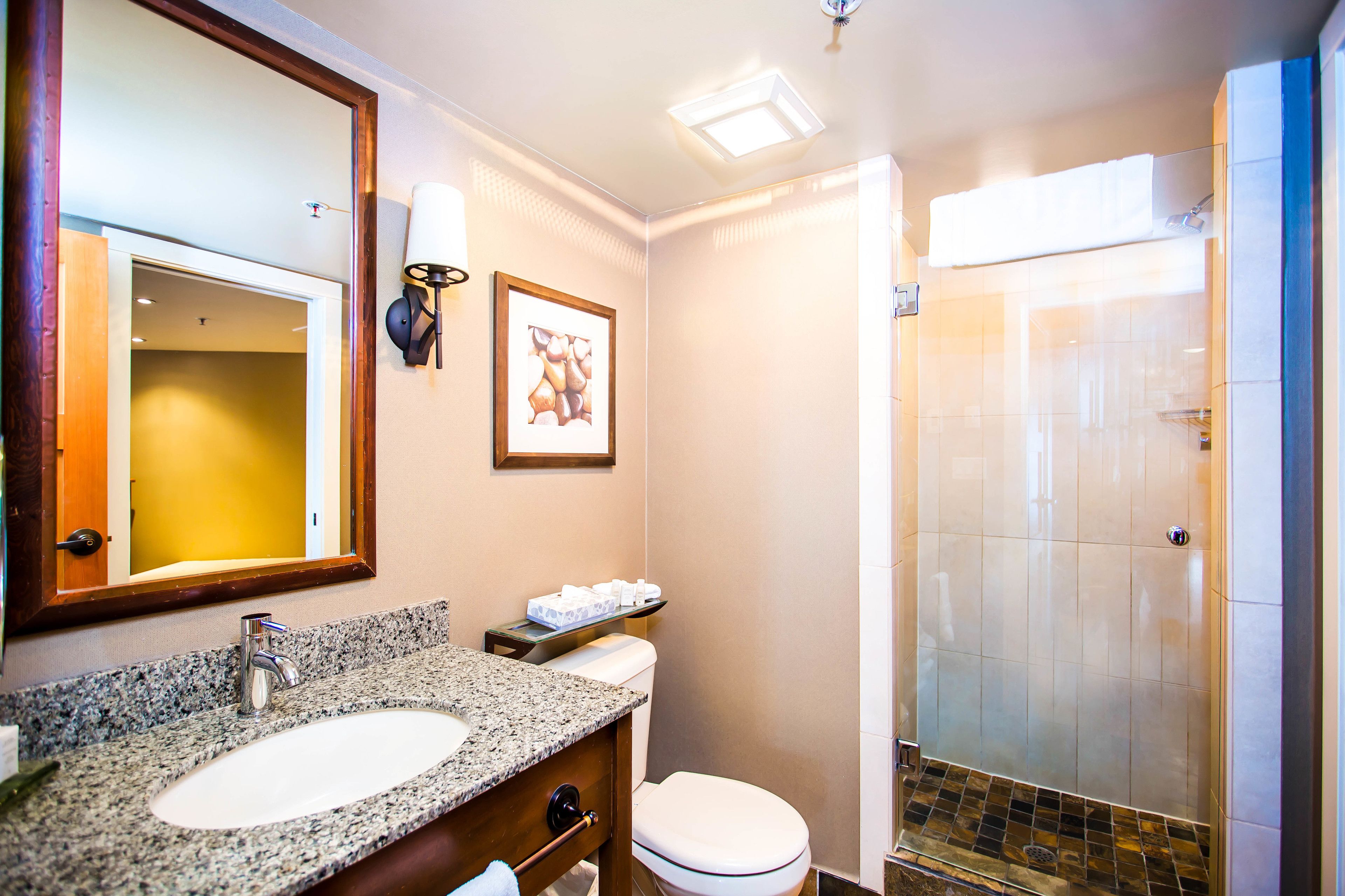 A bathroom with a granite sink, a toilet, a framed picture, and a shower area.