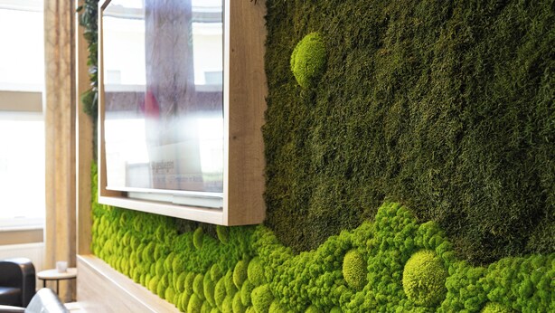 Un espace d’accueil avec un banc en bois, un téléviseur fixé au mur et un mur recouvert de mousse verte.