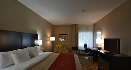Comfort Inn & Suites Trussville I-59 exit 141