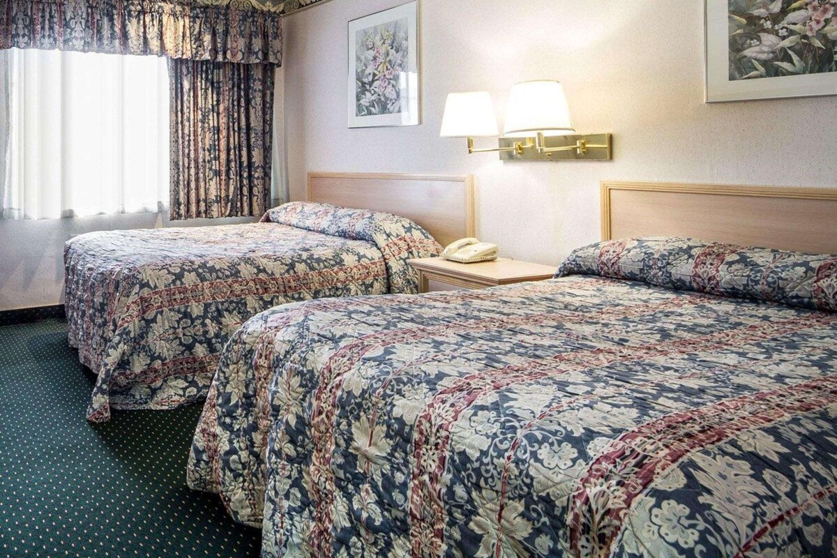 A hotel room with two beds, a bedside table with a lamp, a telephone, and a framed picture on the wall.