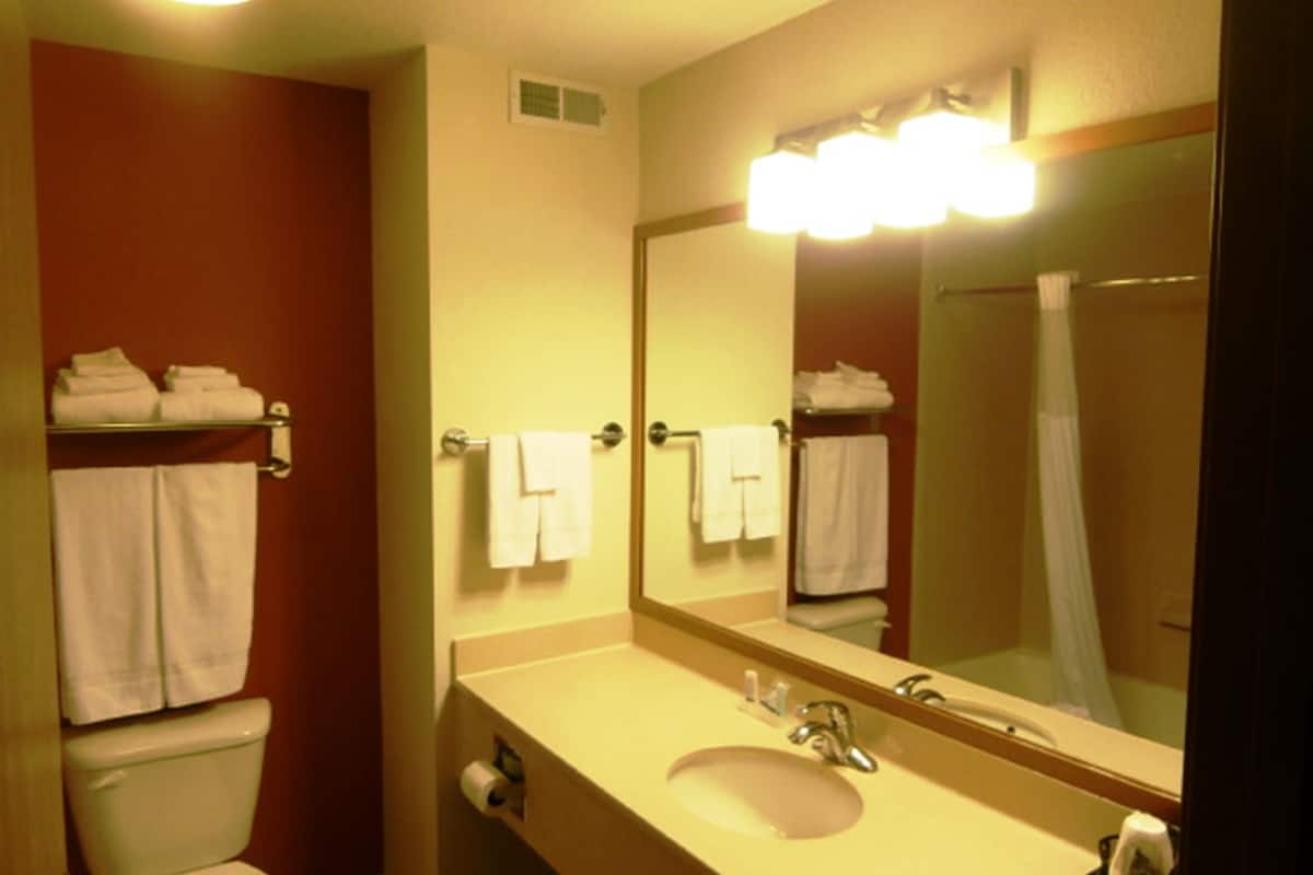 combined shower/bathtub, free toiletries, hair dryer, towels