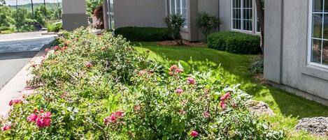 Un edificio con un jardín bien cuidado, con flores rosadas y arbustos verdes.