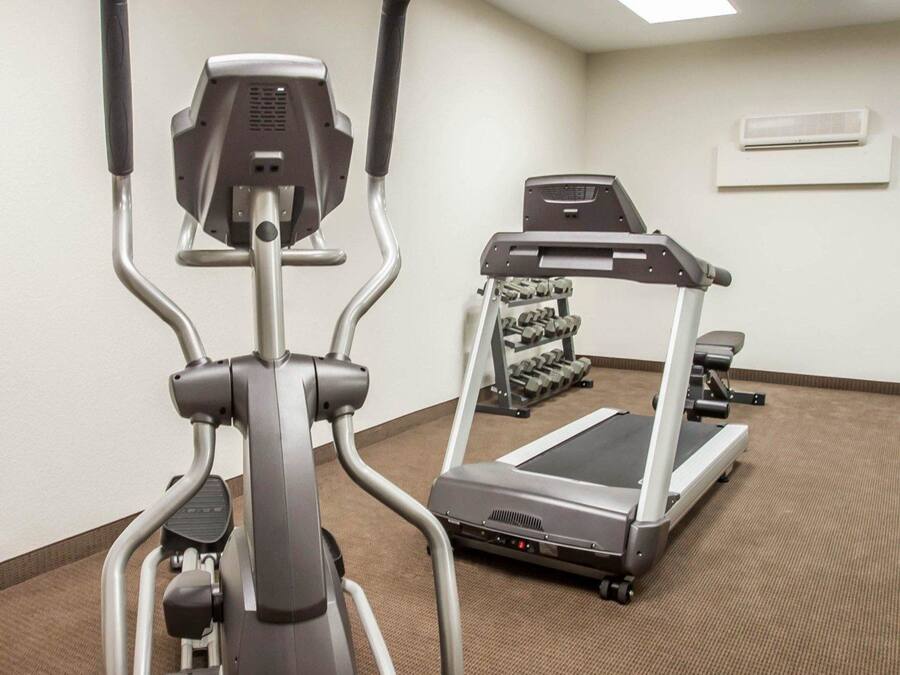 An indoor gym with an elliptical trainer, a treadmill, and a rack of dumbbells.