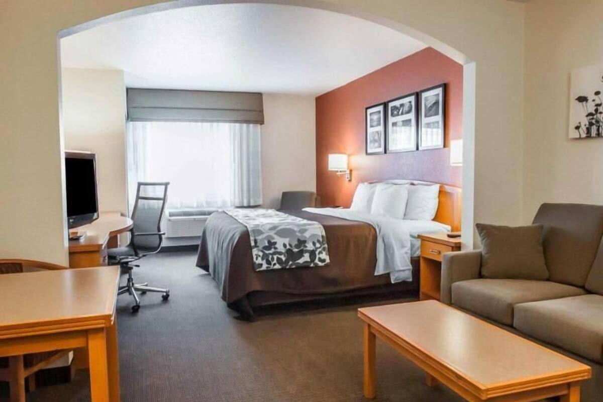 A hotel room with a bed, a desk, a chair, a sofa, a TV, and a window with curtains.