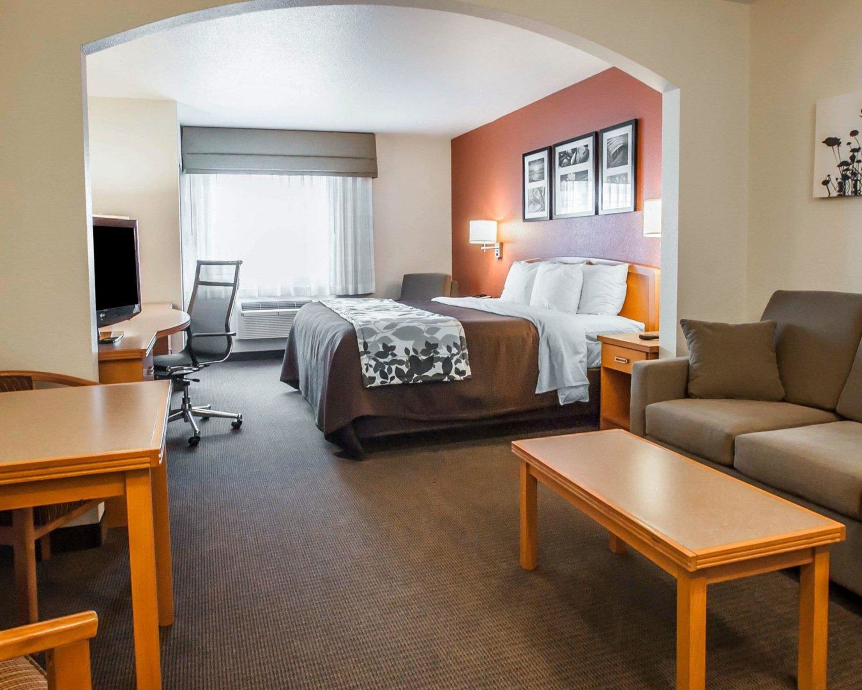 suite, non smoking | in-room safe, desk, blackout curtains, iron/ironing board