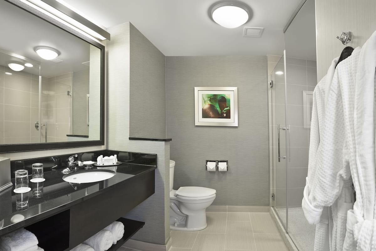 designer toiletries, hair dryer, towels