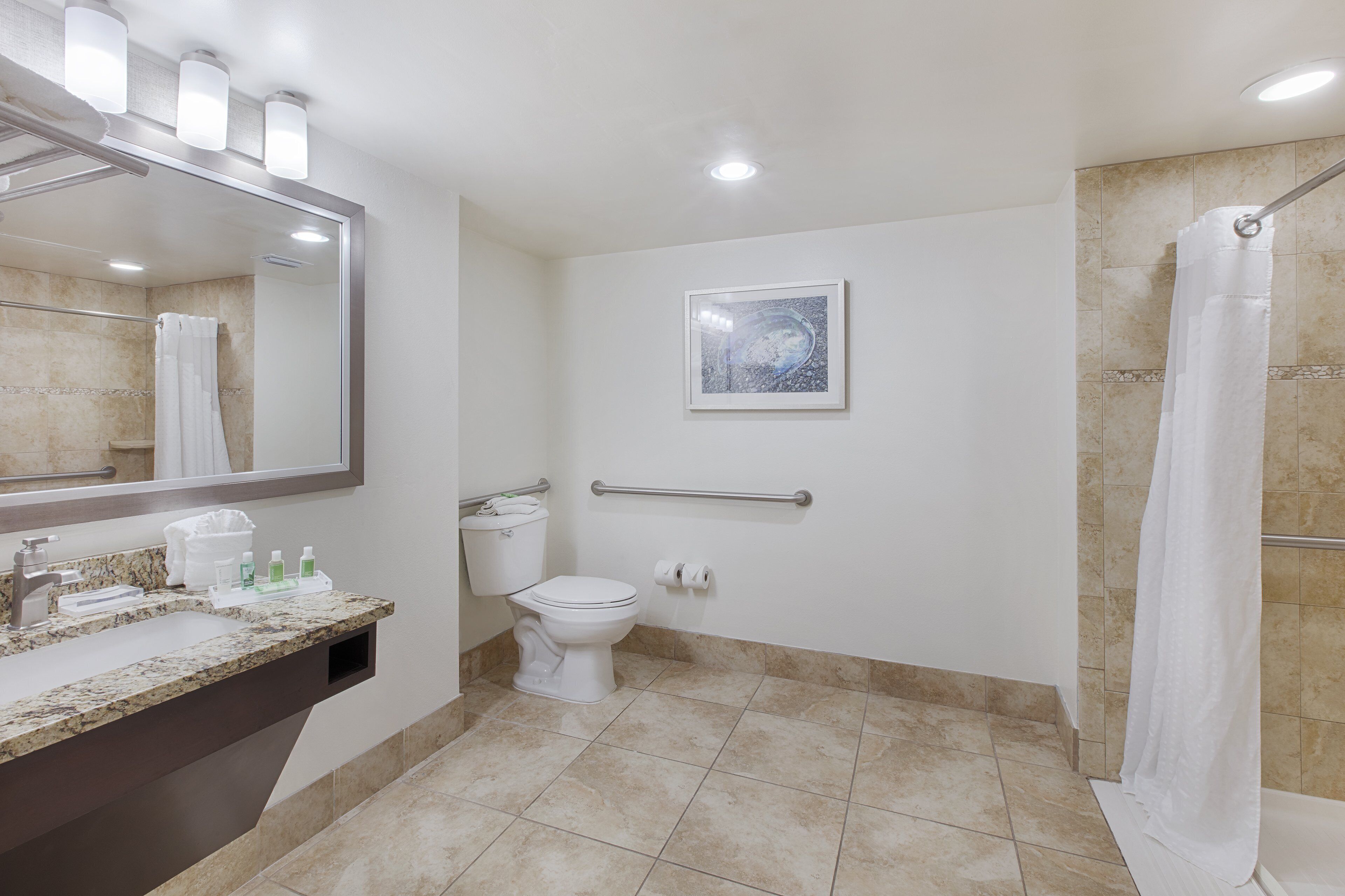 Un baño con lavamanos, inodoro y ducha. Cuenta con un espejo, un perchero para toallas y un cuadro en la pared.