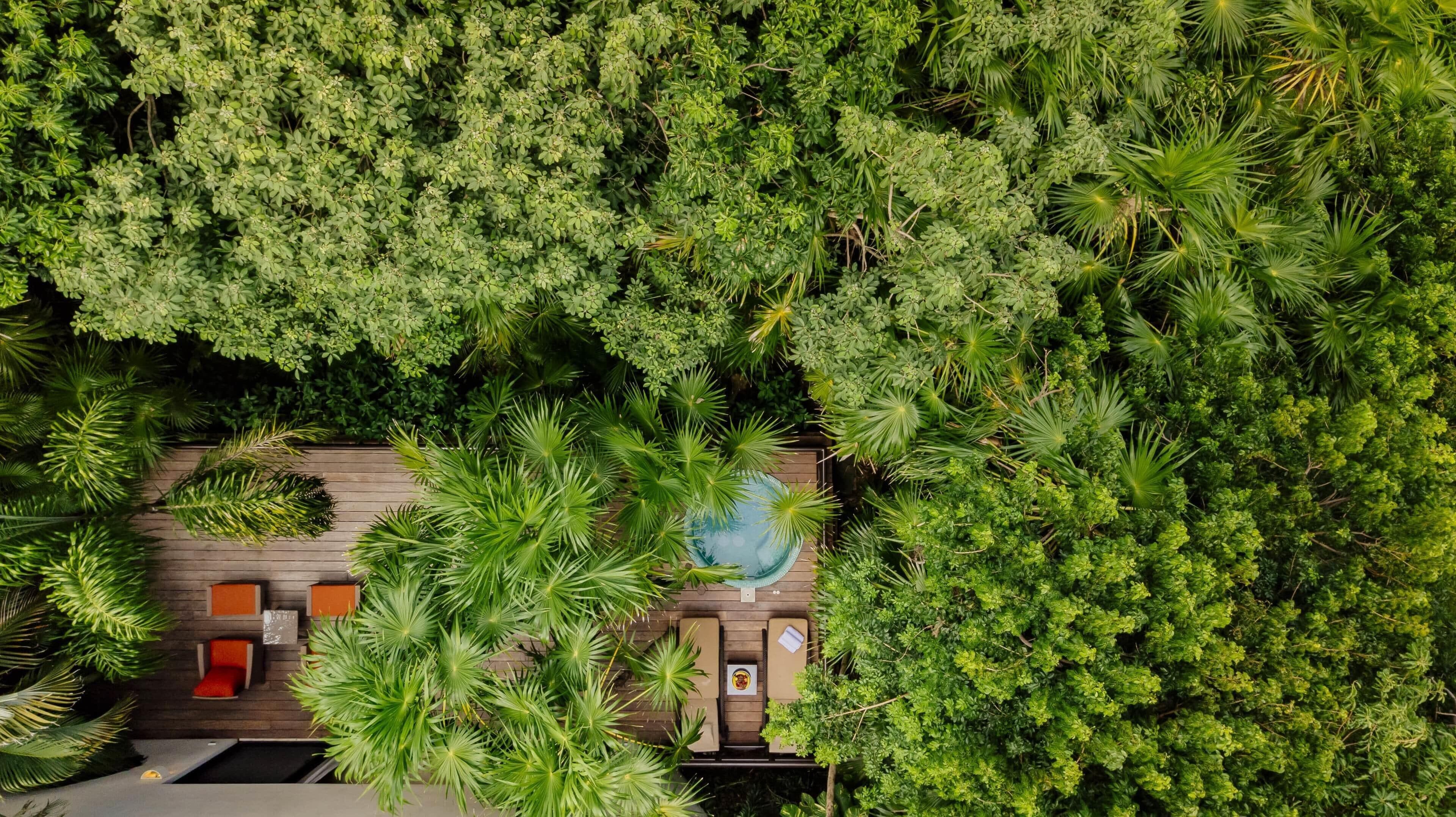 Foto - Occidental at Xcaret Destination - All Inclusive