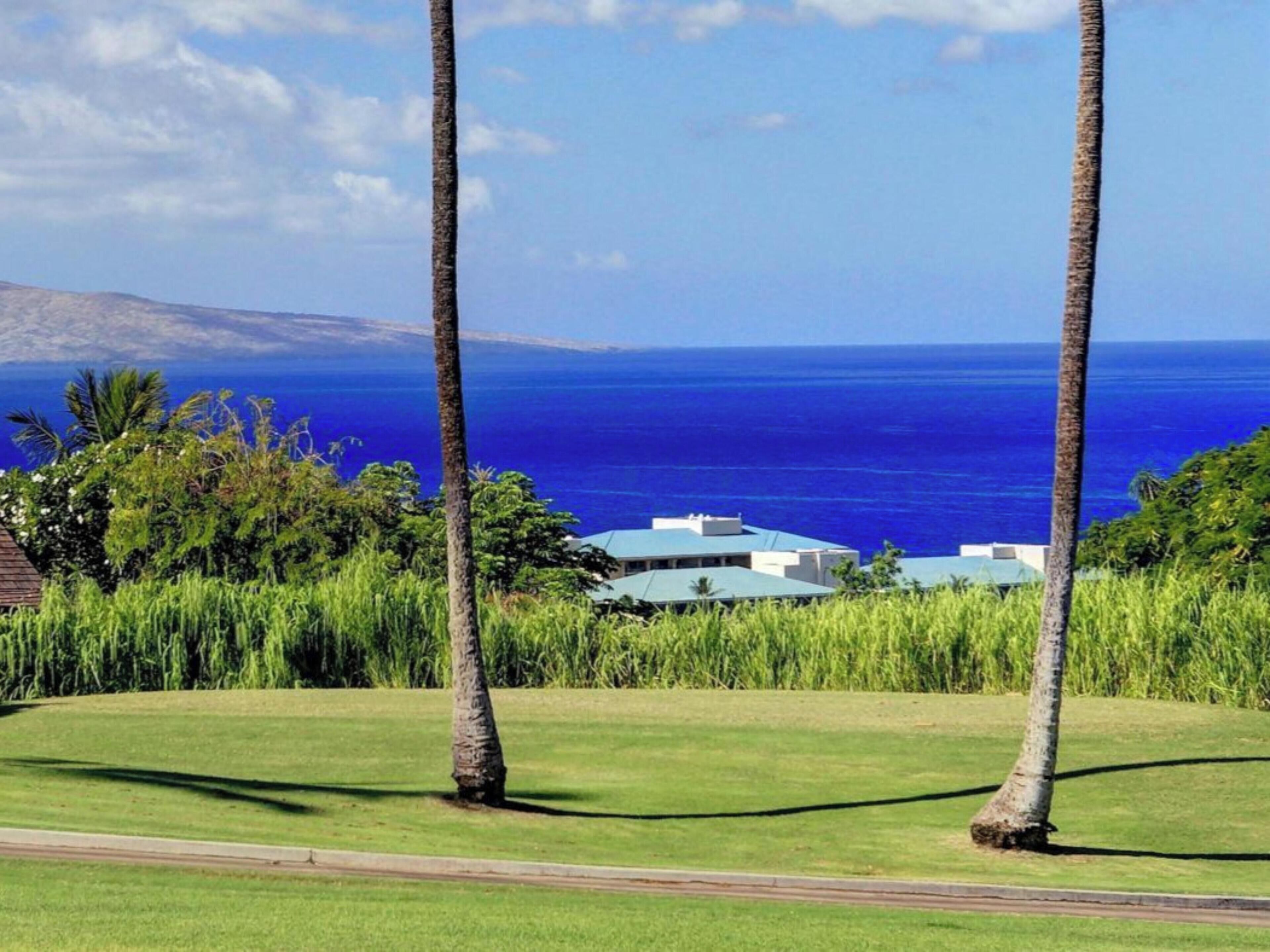 Condo, 1 Bedroom, Ocean View (1203) | Property amenity