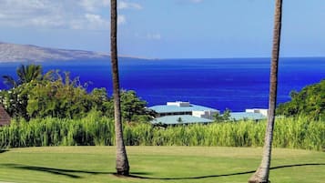 Condo, 1 Bedroom, Ocean View (1203) | Property amenity