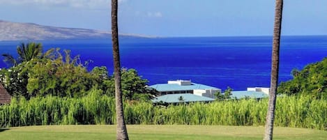 Appart'hôtel, 1 chambre, vue océan (1203) | Équipement de l’hébergement