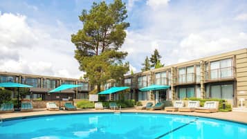 A swimming pool with lounge chairs and umbrellas, surrounded by a building with multiple windows and a large tree.