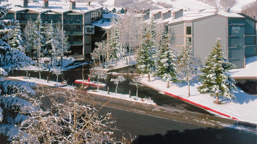 Silver King by All Seasons Resort Lodging
