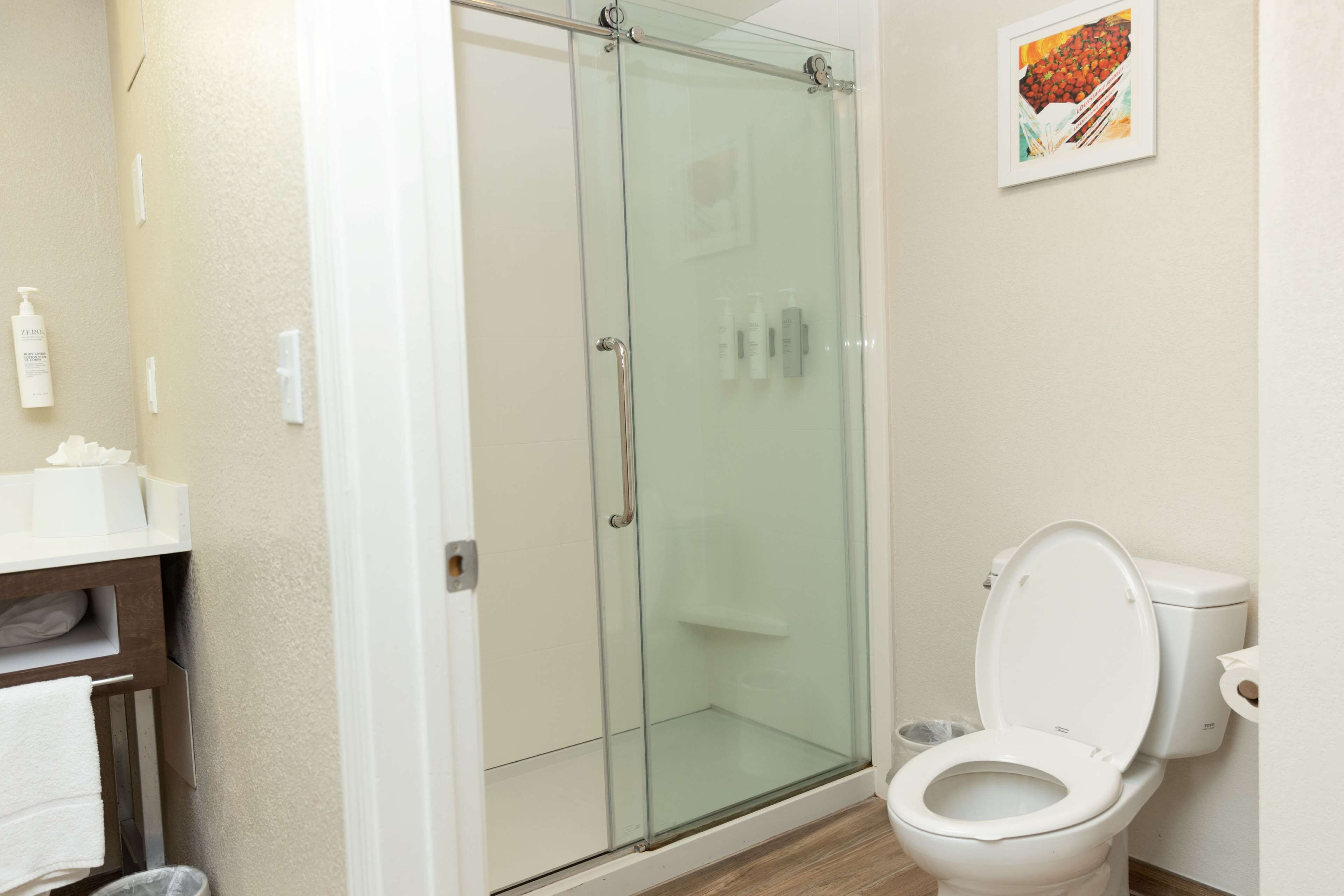Ein Badezimmer mit einer Duschkabine aus Glas, einer weißen Toilette und einem Waschbecken mit Toilettenartikeln.