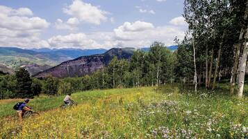 A mountain landscape with two cyclists on a trail, surrounded by wildflowers and birch trees.