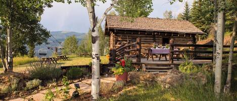 En rustik stuga med en träveranda, omgiven av träd och ett picknickbord.