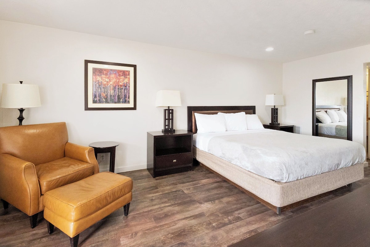 Room, 1 King Bed, Non Smoking | Desk, iron/ironing board, free WiFi, bed sheets