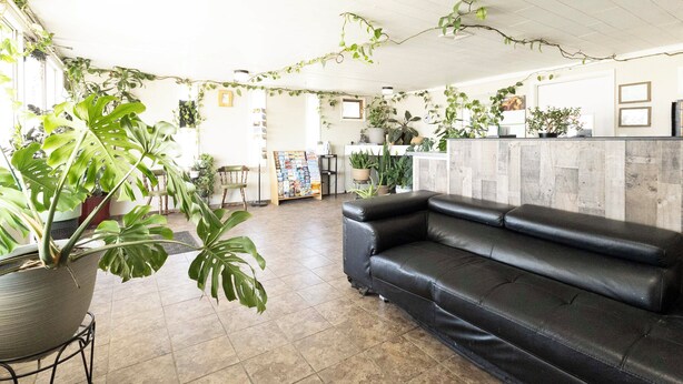 A spacious indoor area with a black leather couch, potted plants, and a tiled floor. - Circle S Motel Cozad I-80 (Cozad)
