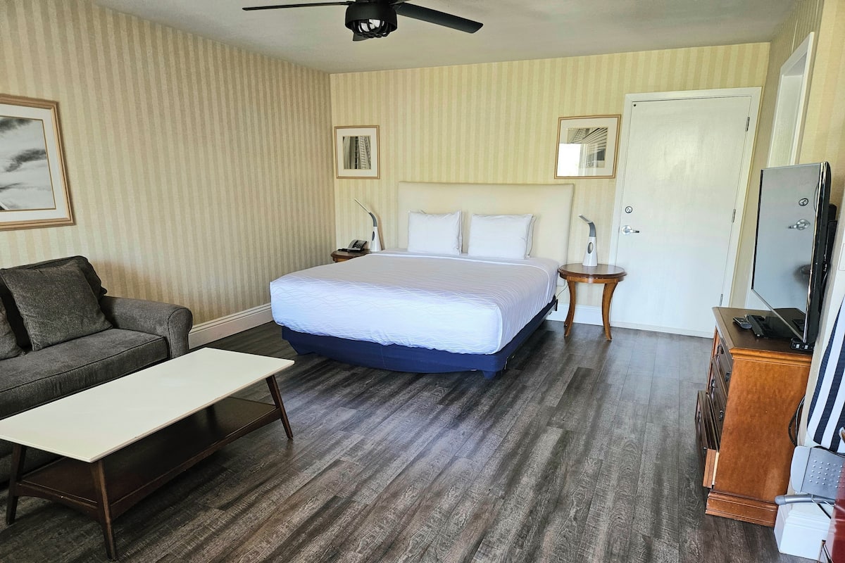 A hotel room with a bed, a sofa, a desk, a TV, and a door.