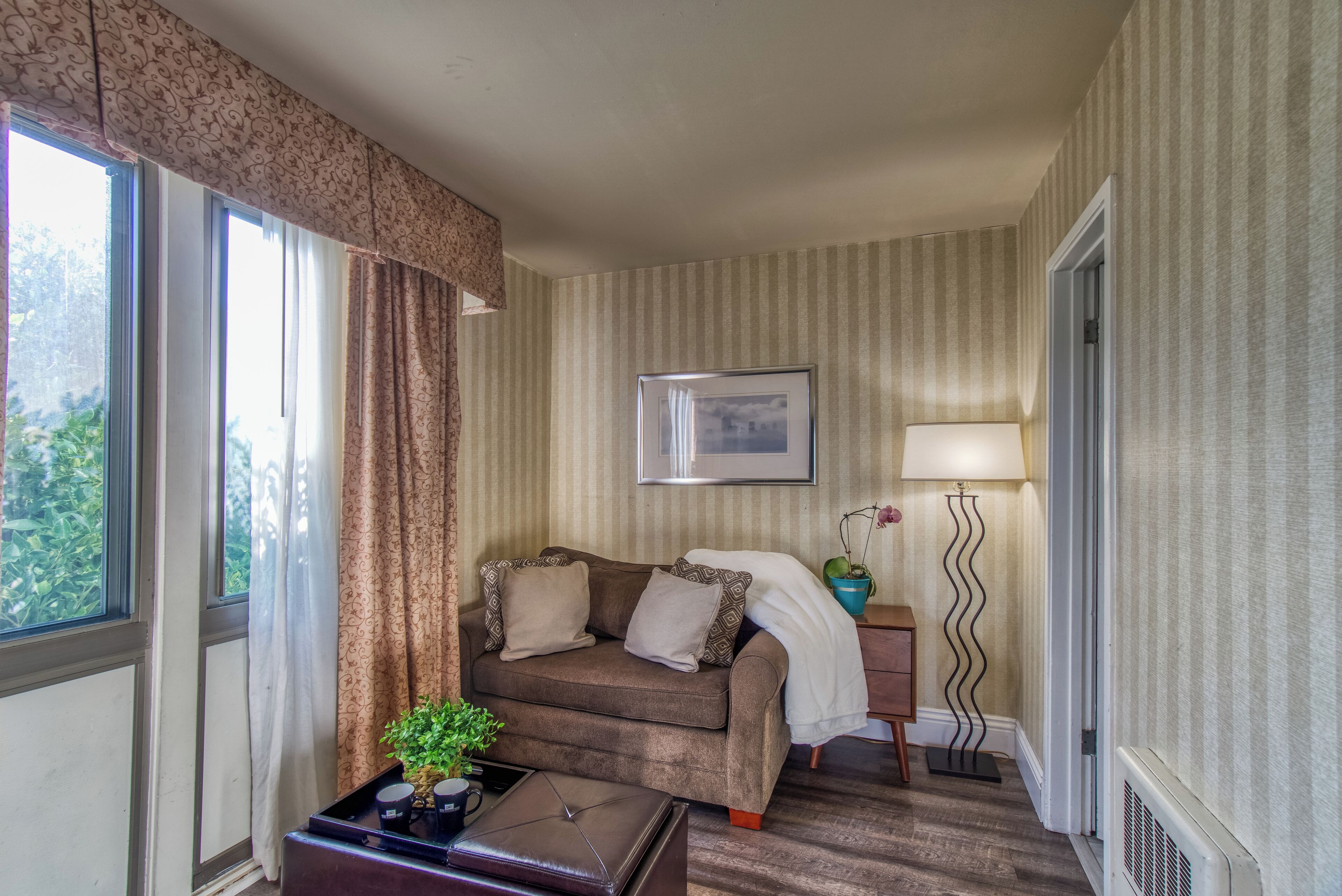 A cozy room with a brown sofa, a small table with a plant, a framed picture on the wall, and a lamp.