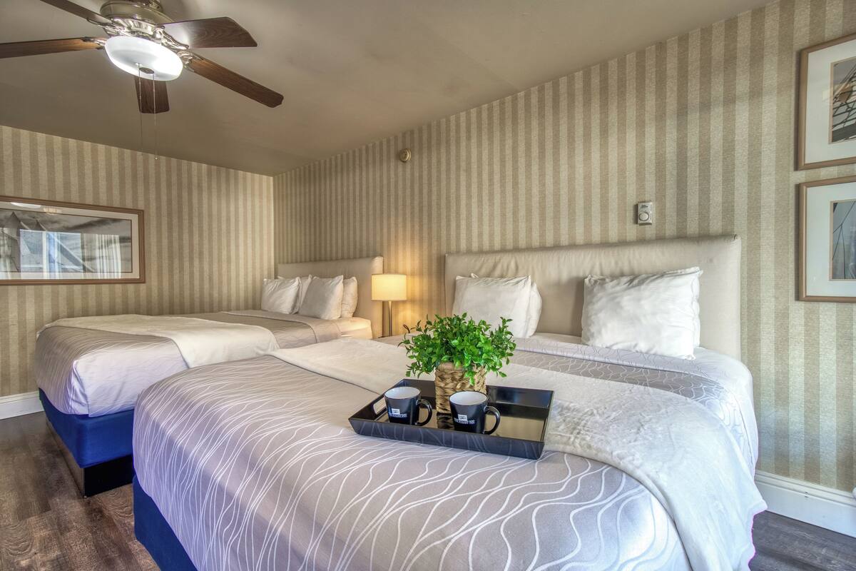 A hotel room with two beds, a ceiling fan, a bedside lamp, and a tray with two mugs and a plant.