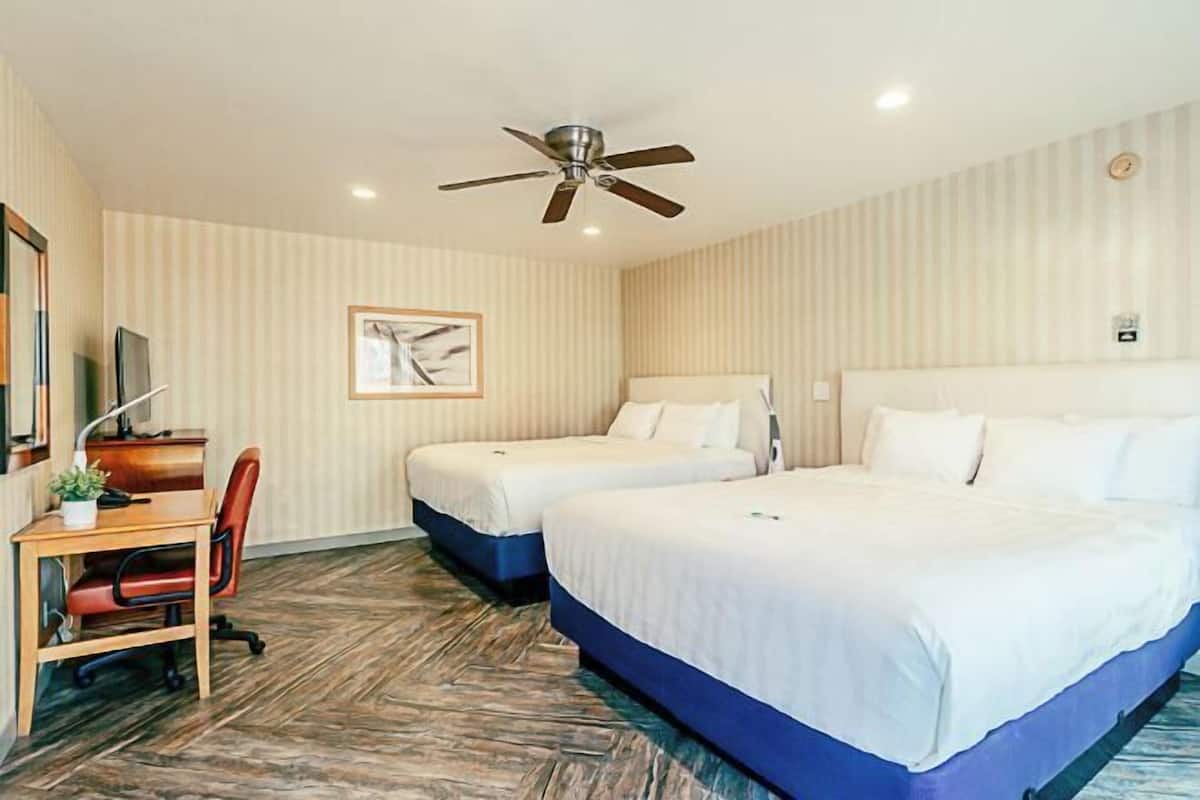 1 habitación, ropa de cama de alta calidad y colchones con pillow-top