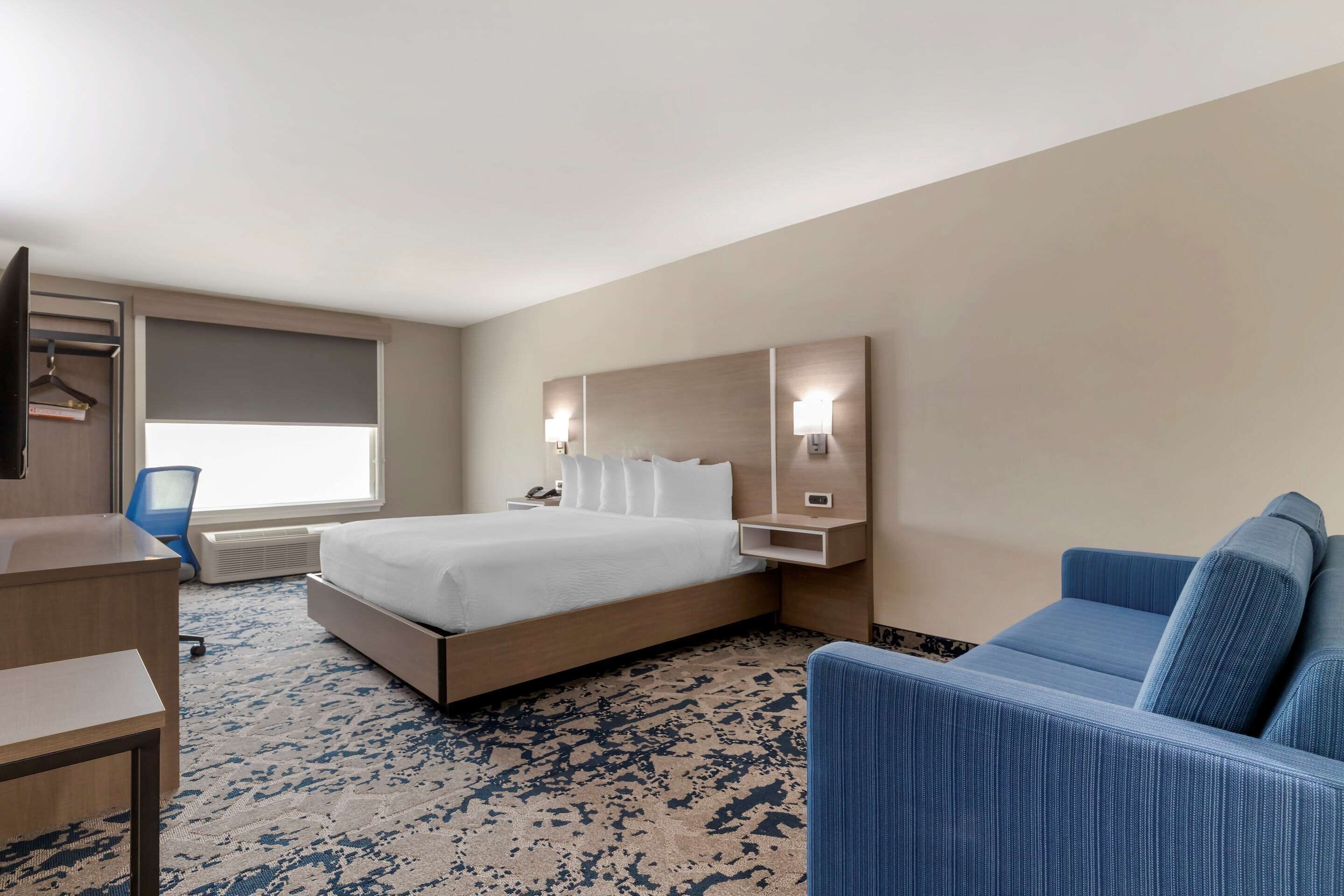A hotel room with a bed, a desk, a chair, and a sofa.