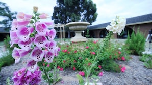 A garden with a variety of flowers and a central fountain. - Bell Tower Inn (Alfredton)
