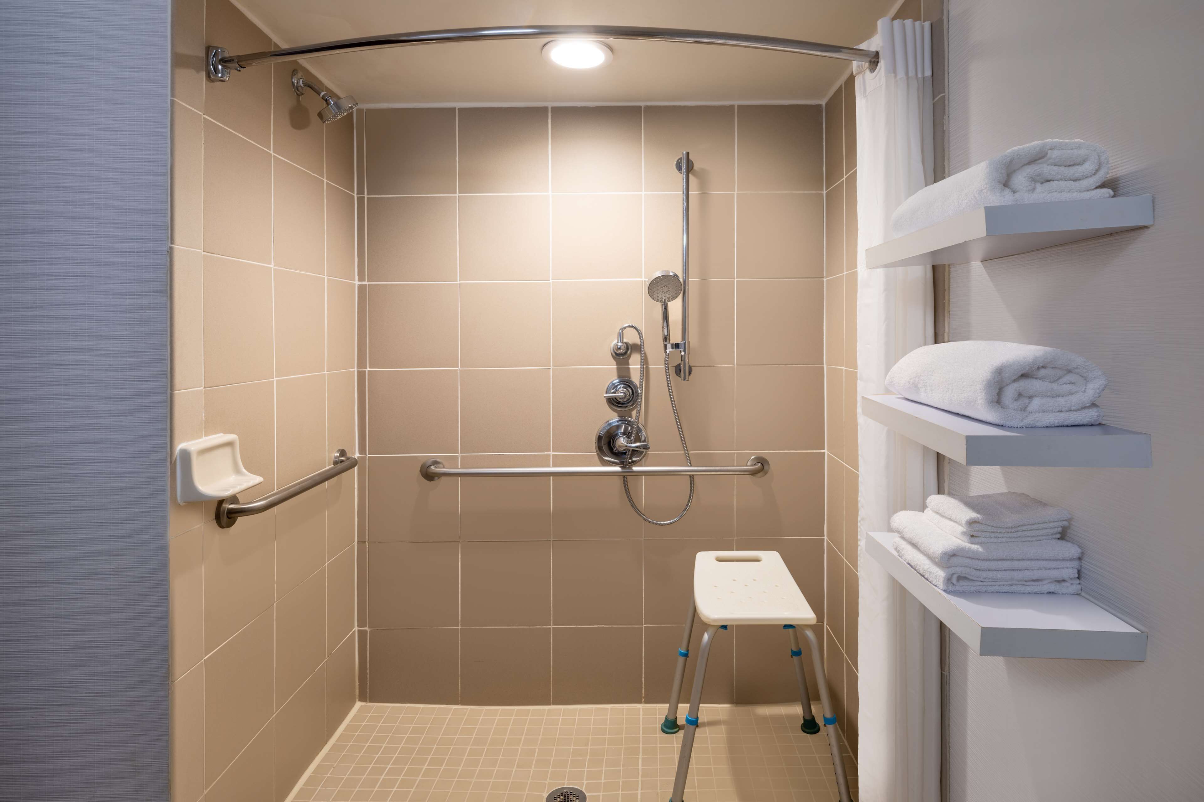 room, 1 king bed, accessible (roll-in shower) | bathroom shower