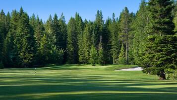 Golfe