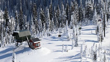 A ski resort with a chairlift, snow-covered trees, and a small lodge.