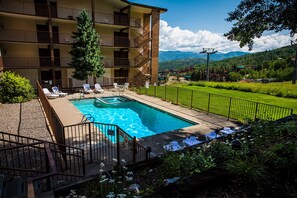 Outdoor pool, pool loungers