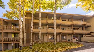A multi-story building with balconies, surrounded by birch trees and a ground covered with fallen leaves.