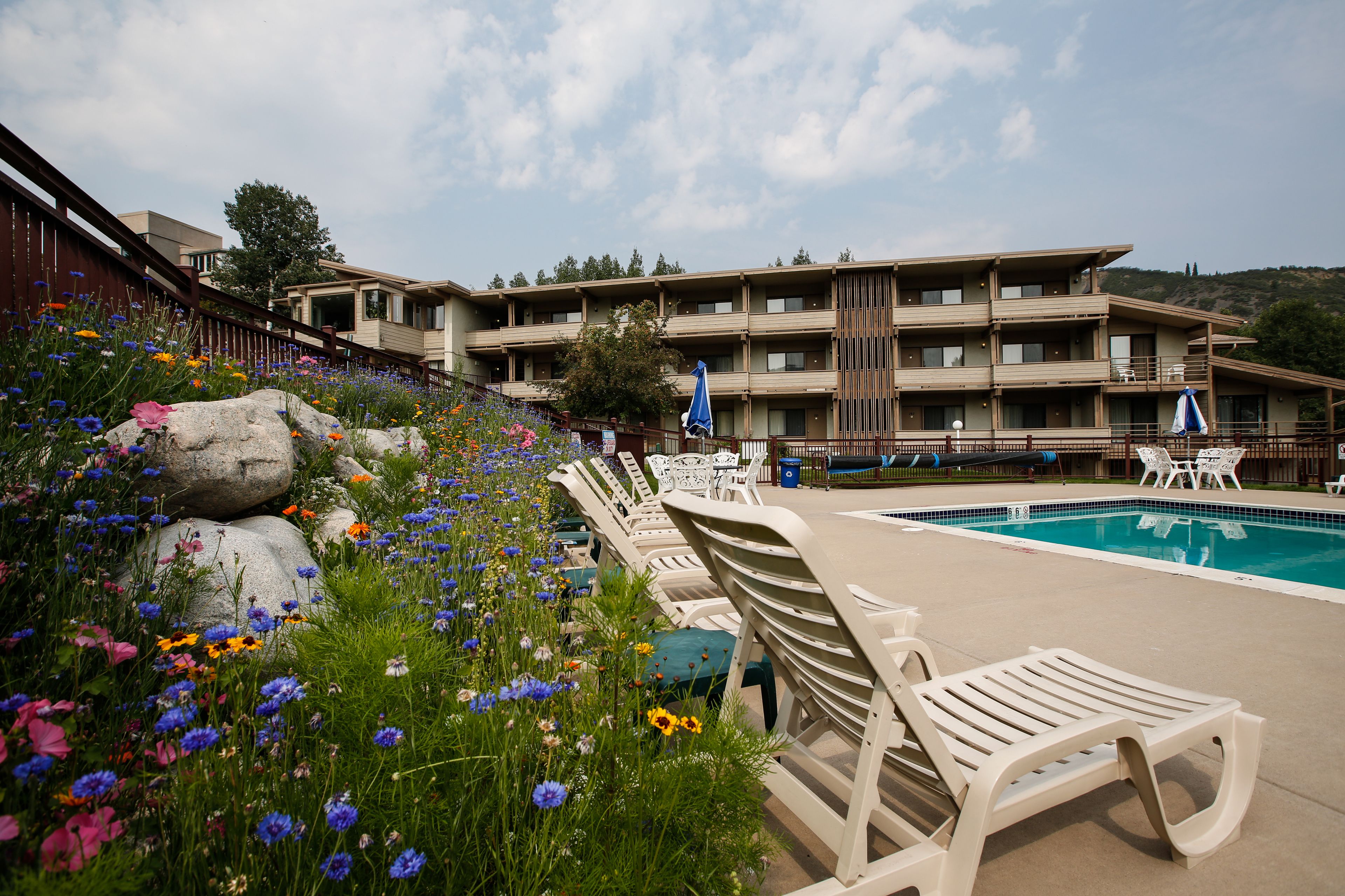 outdoor pool, open 3:00 pm to 9:00 pm, pool loungers