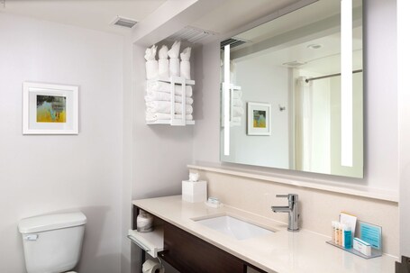 Hampton Inn Suites Arlington Crystal City DCA - Image 50