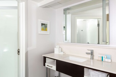 Hampton Inn Suites Arlington Crystal City DCA - Image 10