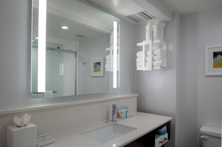 Hampton Inn Suites Arlington Crystal City DCA - Image 51