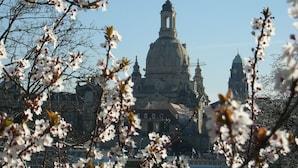 A historic building with a prominent dome and clock tower, surrounded by blooming trees. - Hotel & City Appartements Rothenburger Hof (Dresden)