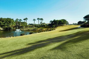A golf course with a pond, palm trees, and a clear sky.