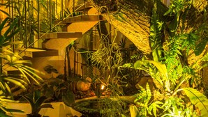 Una mesa de vidrio con una vela y una copa de vino, rodeada de sillas de mimbre, en un exuberante jardín interior con una escalera y diversas plantas.