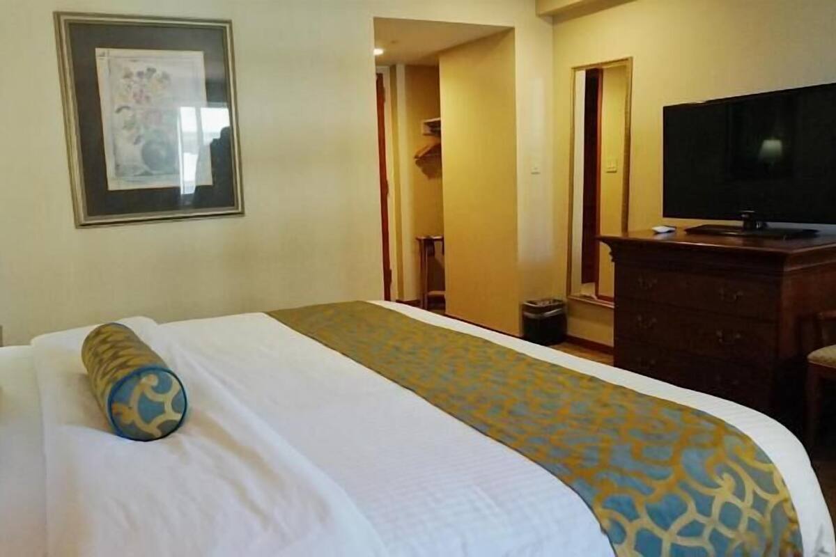 Una habitación de hotel con cama, televisor, cómoda y un cuadro en la pared.
